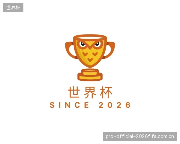 发现世界杯团队